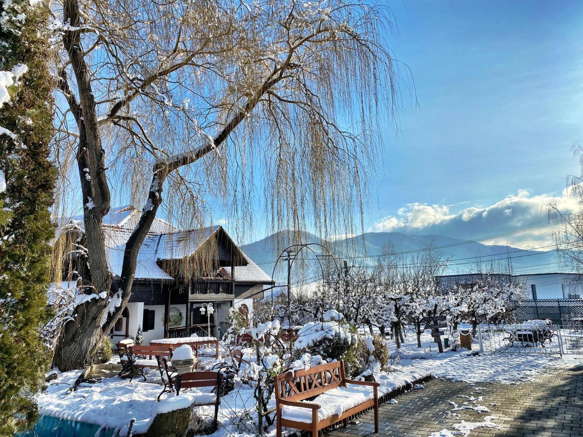 Pensiunea Apfelhaus ชิสนาดิวารา ภายนอก รูปภาพ