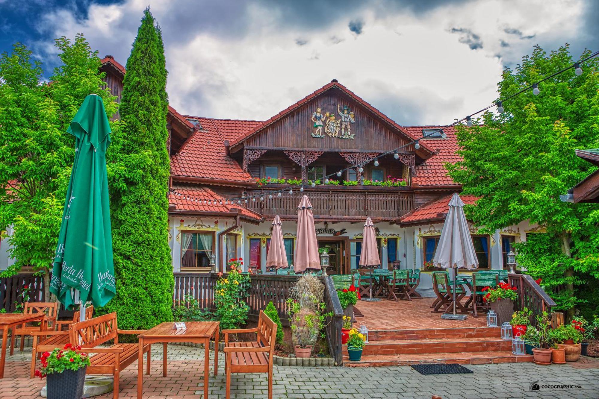 Pensiunea Apfelhaus ชิสนาดิวารา ภายนอก รูปภาพ