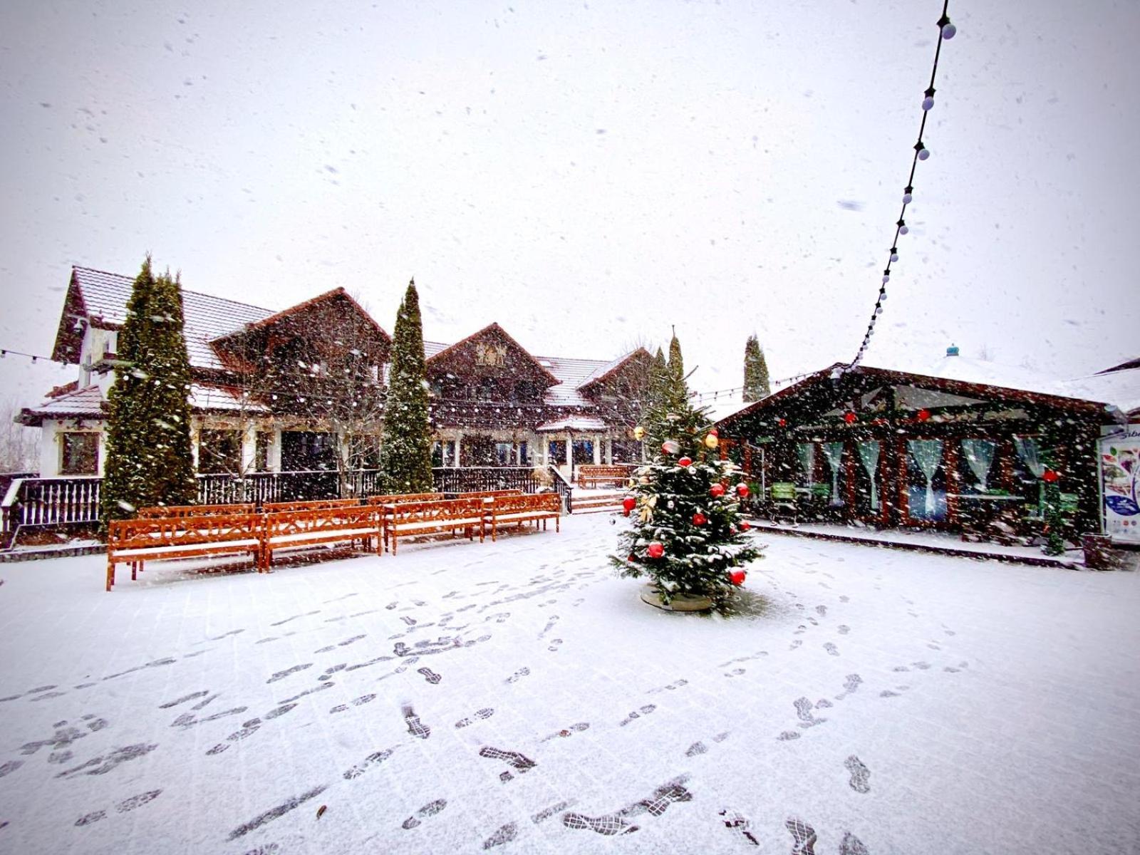 Pensiunea Apfelhaus ชิสนาดิวารา ภายนอก รูปภาพ